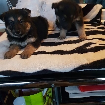 Mina & Penny (2)